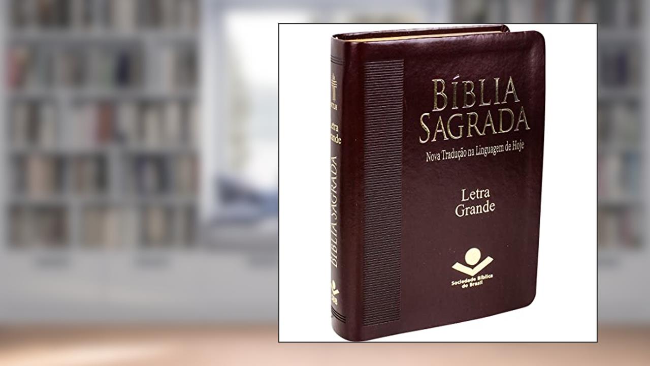 Capa de Bíblia Sagrada NTLH Letra Grande: Nova Tradução na Linguagem de Hoje (NTLH), do autor Sociedade Bíblica do Brasil