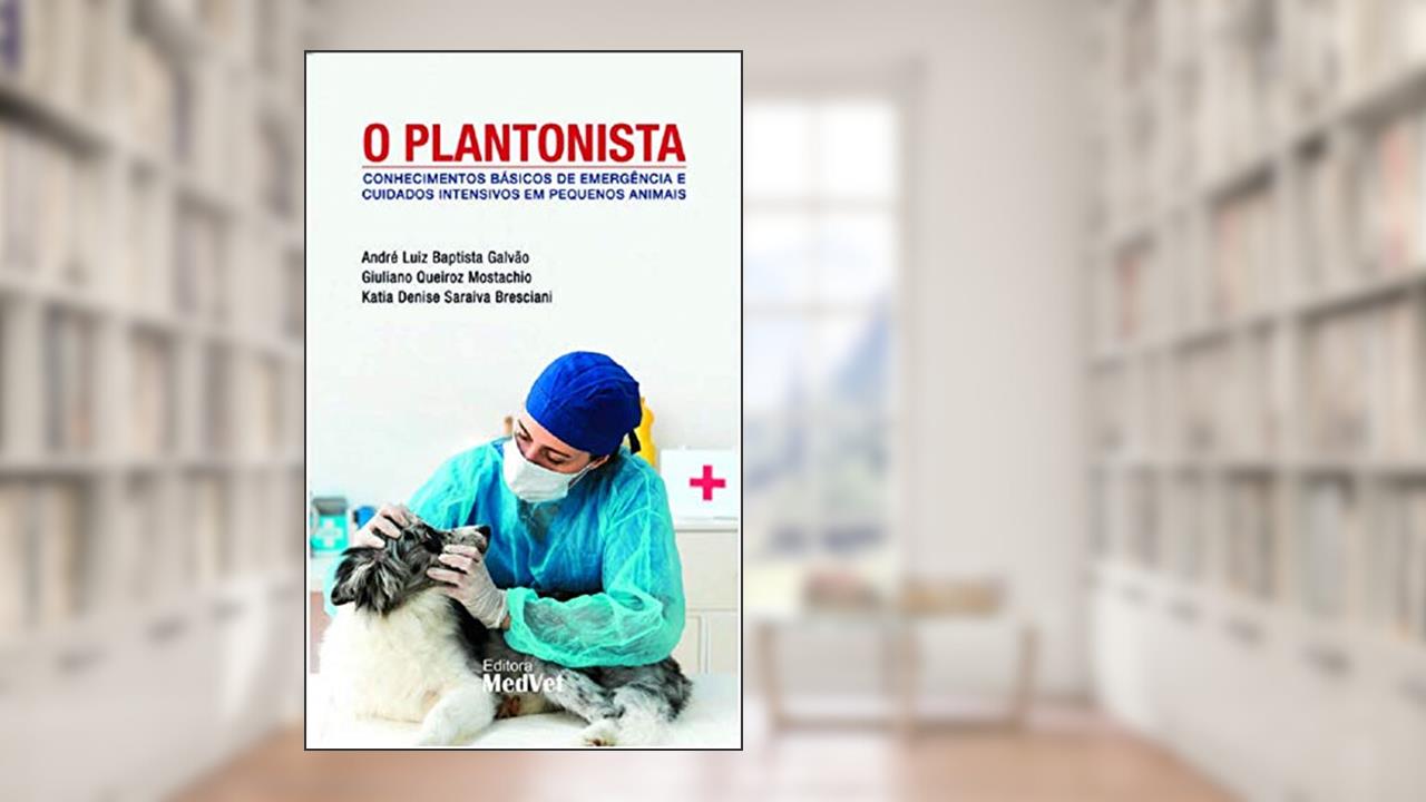 Capa de O Plantonista, do autor Galvao