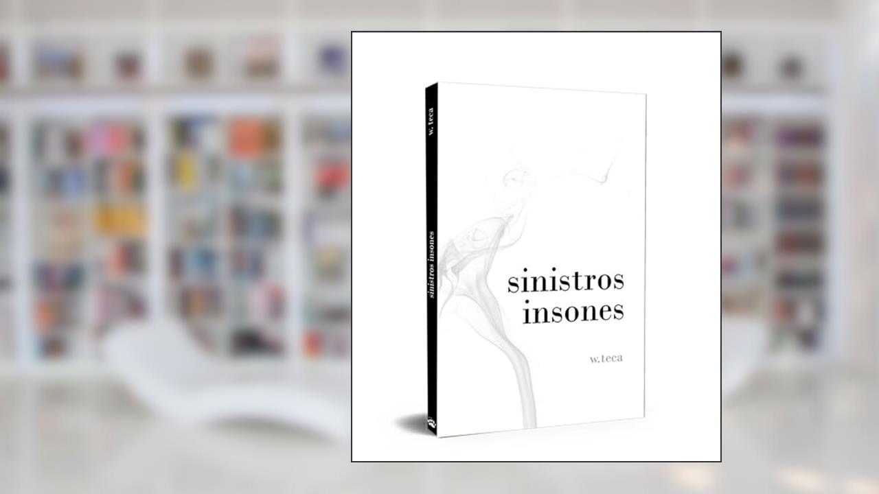 Capa de Sinistros Insones, do autor W. Teca