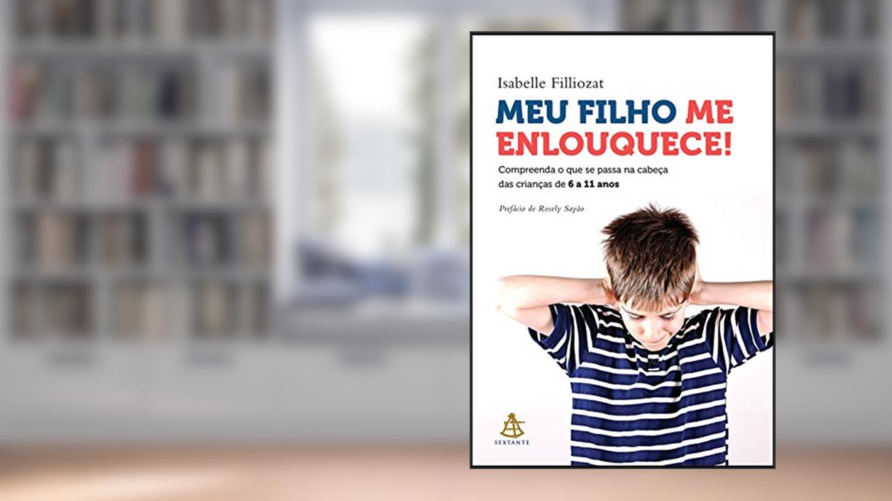 Meu filho me enlouquece!: Compreenda o que se passa na cabeça das crianças de 6 a 11 anos, do autor Isabelle Filliozat