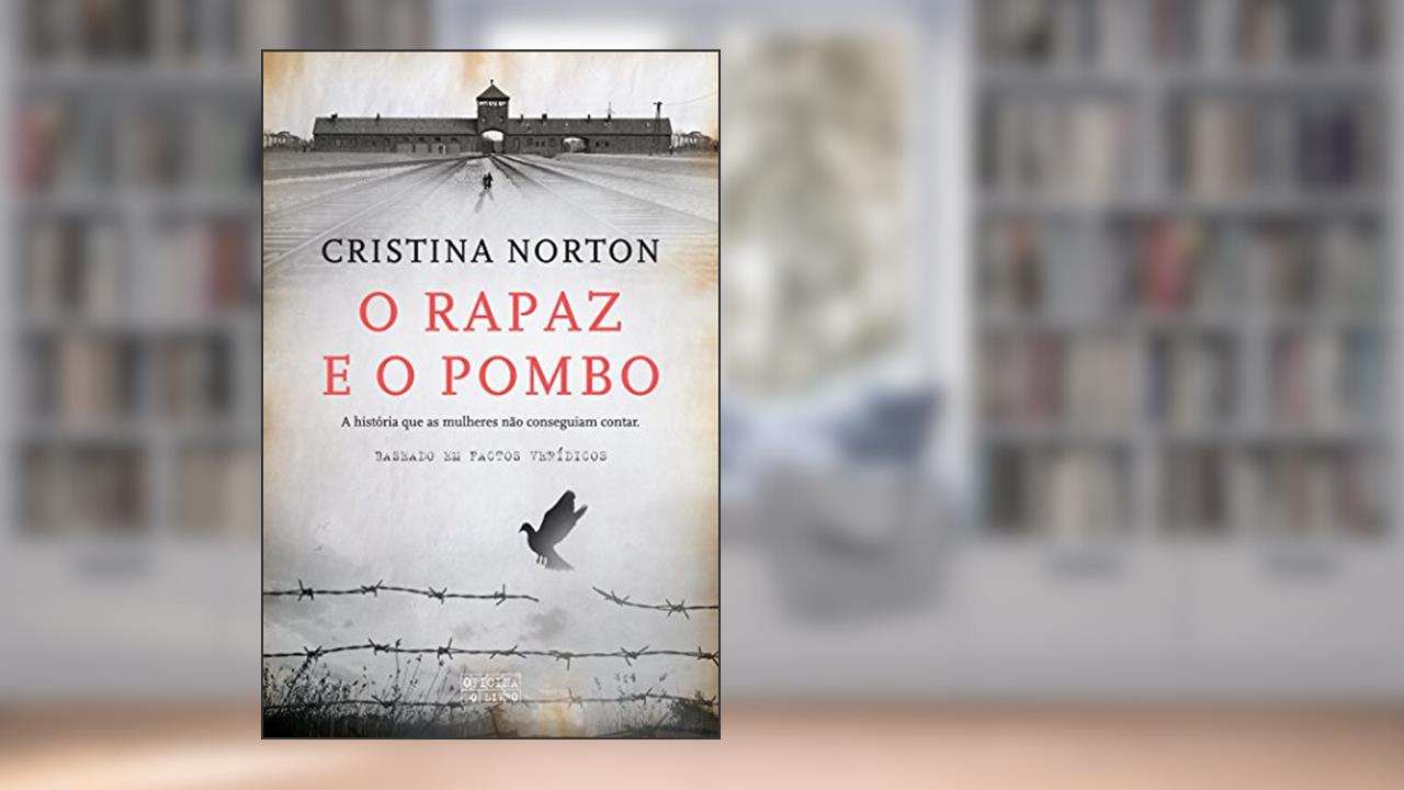 Capa de O Rapaz e o Pombo, do autor Cristina Norton