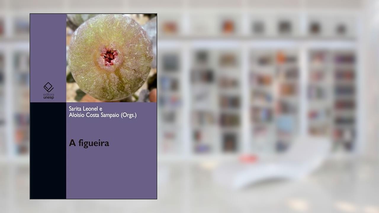Capa de A figueira, do autor Sarita Leonel; Aloísio Costa Sampaio