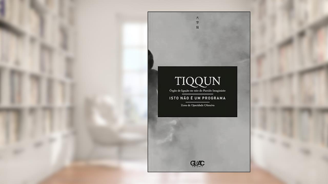 Capa de Isto não é um Programa: órgão de Ligação no Seio do Partido Imaginário: 1, do autor Tiqqun