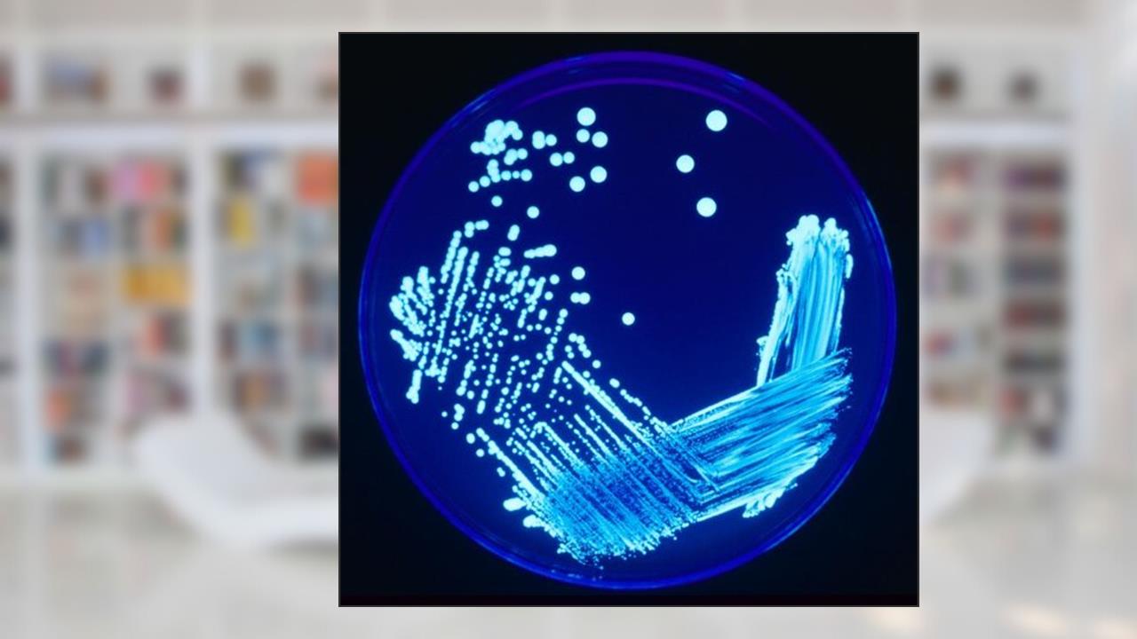 Capa de Introdução à microbiologia clínica e ao tratamento das doenças infecciosas, do autor Eurico de Aguiar