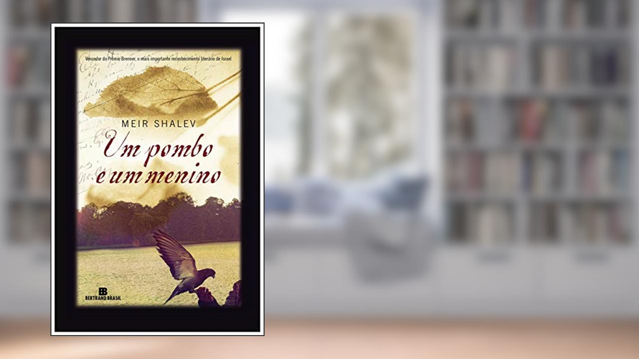 Capa de Um pombo e um menino, do autor Meir Shalev