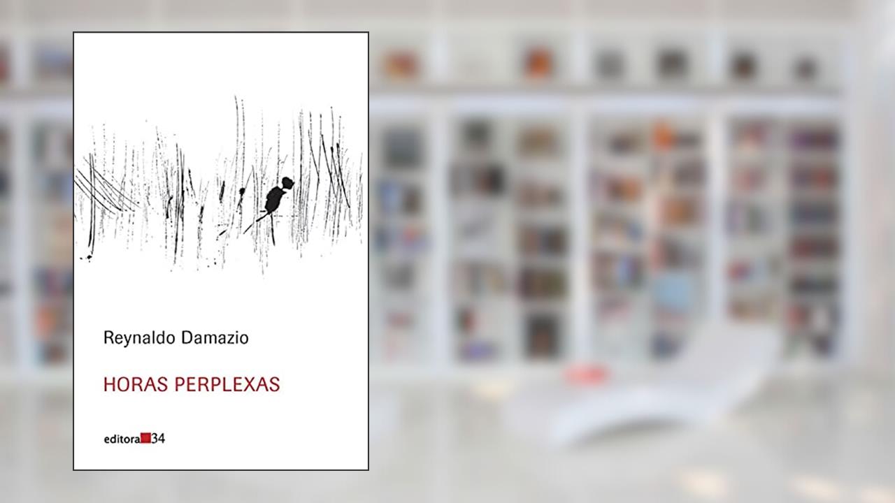 Capa de Horas perplexas, de Reynaldo Damazio