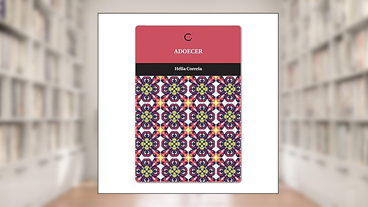 Capa de Adoecer, do autor Hélia Correia