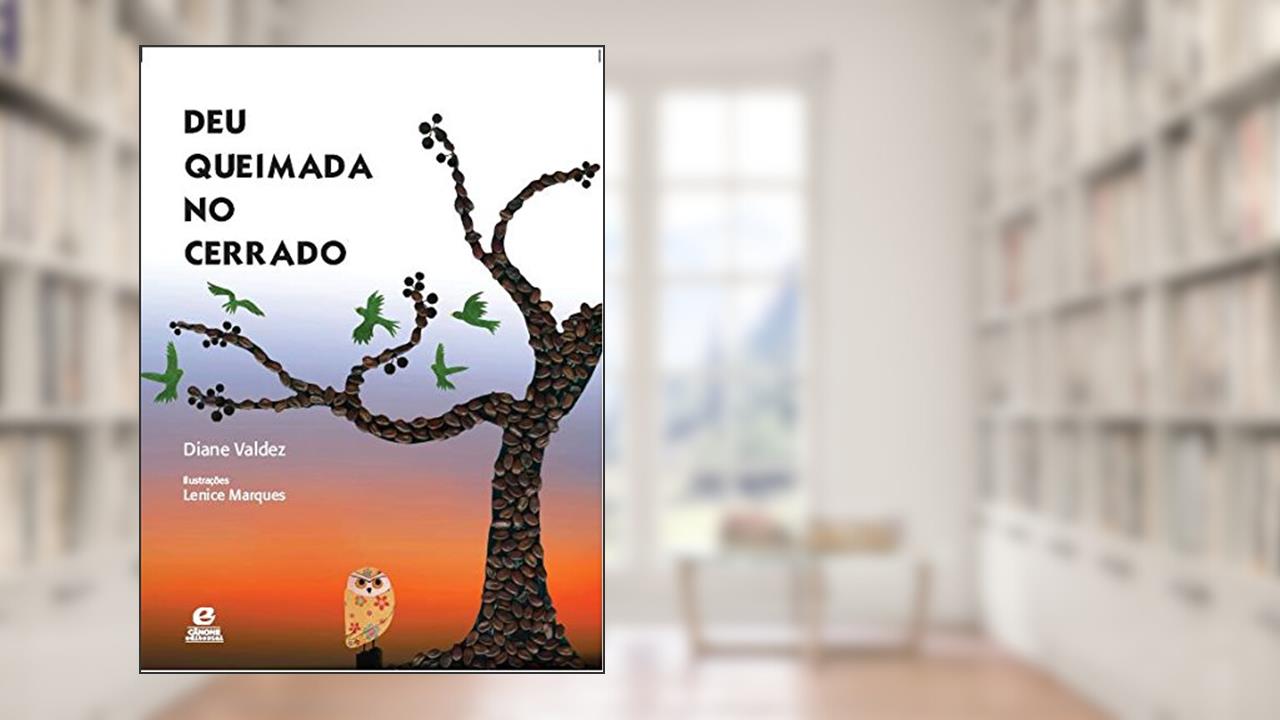 Capa de Deu queimada no cerrado, do autor Diane Valdez