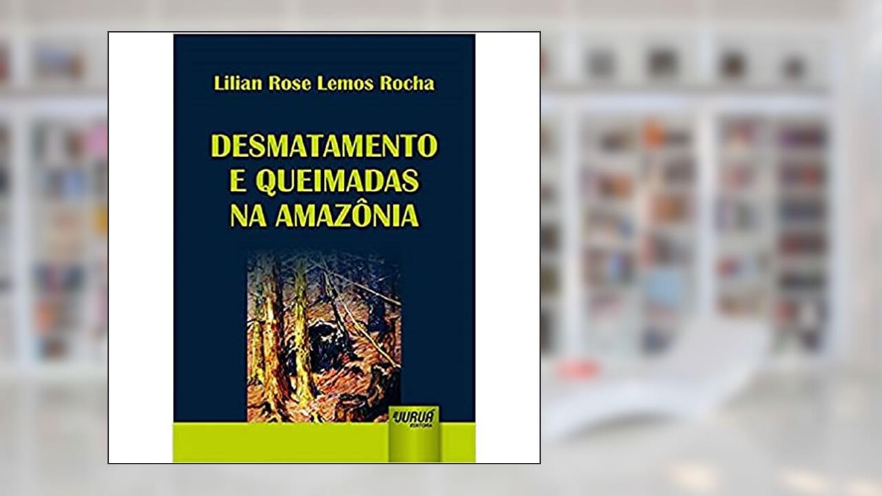 Capa de Desmatamento e Queimadas na Amazônia, do autor Lilian Rose Lemos Rocha
