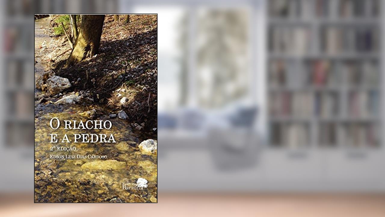 Capa de O Riacho e a pedra, do autor Edson Luiz Dias Cardoso