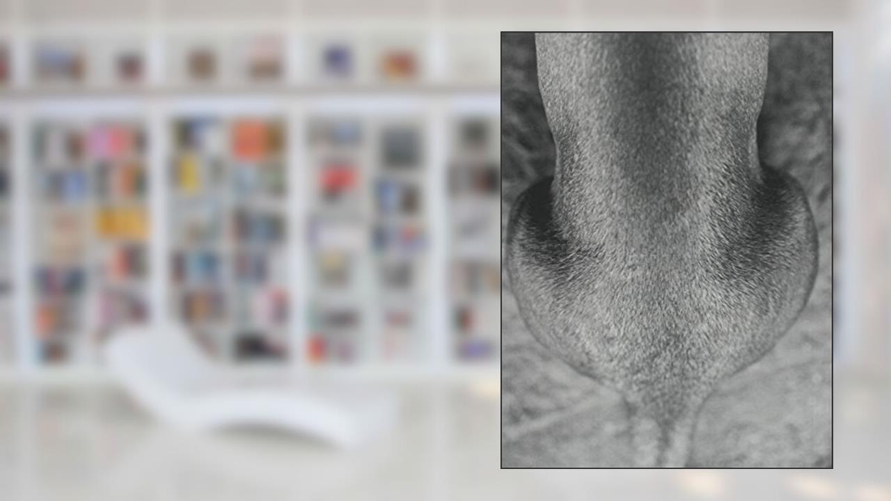 Capa de Vicente de Mello. Áspera Imagem - Coleção Arte e Tecnologia, do autor Vicente de Mello