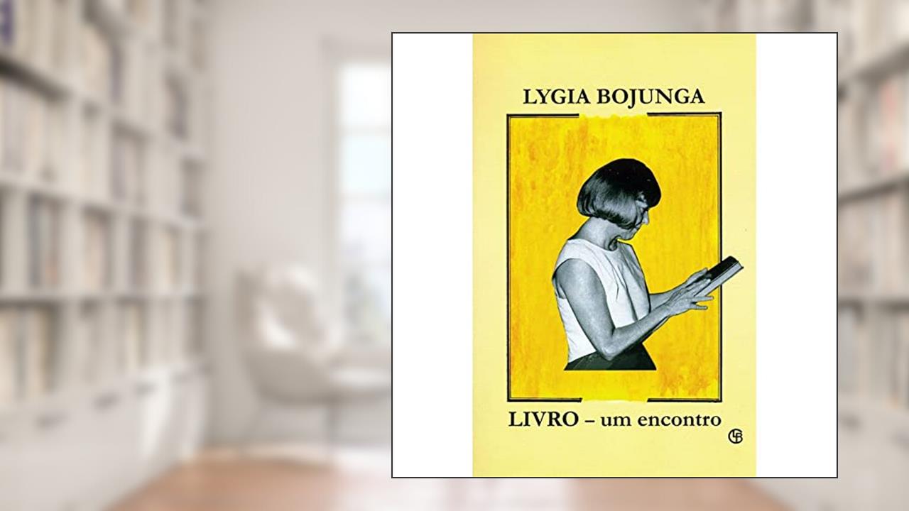 Capa de Livro. Um Encontro, do autor Lygia Bojunga