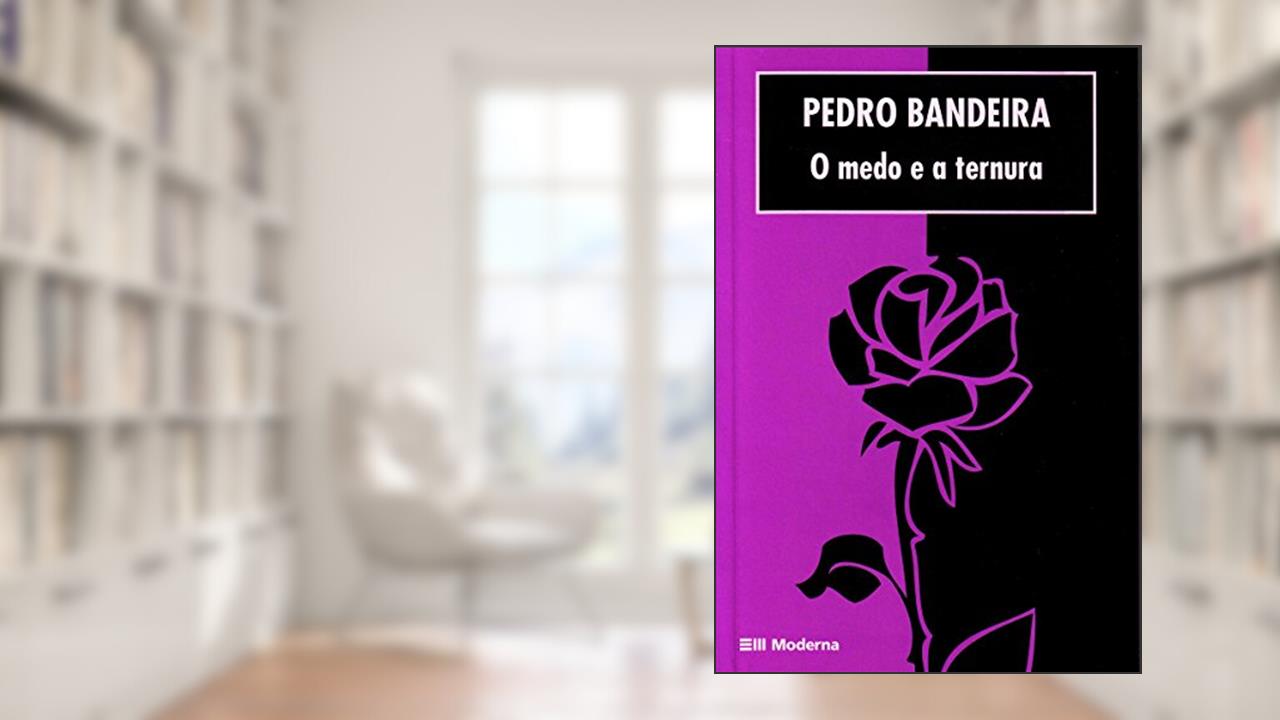Capa de O Medo e a Ternura, do autor Pedro Bandeira