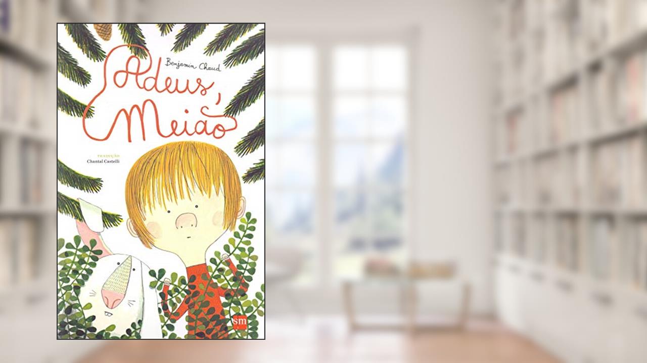Capa de Adeus, Meião, do autor Benjamin Chaud