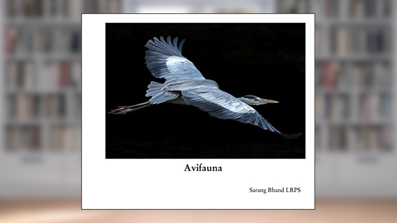 Capa de Avifauna, do autor Sarang Bhand LRPS