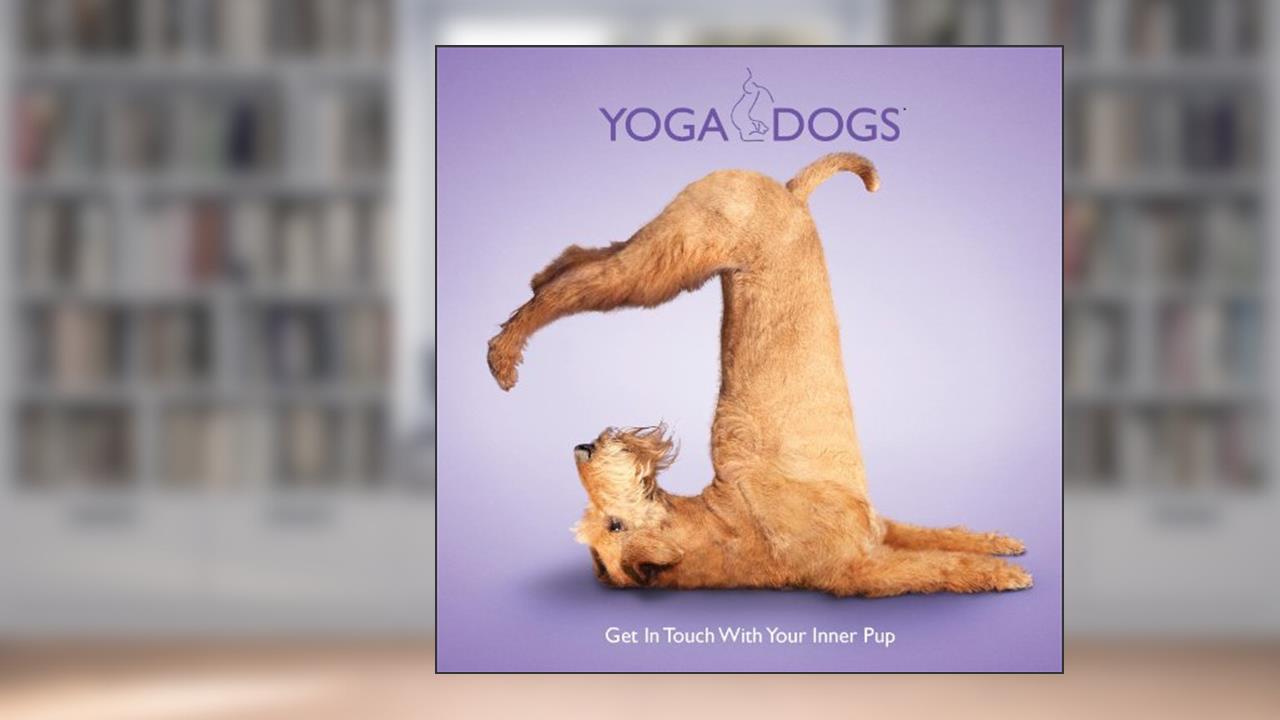 Capa de Yoga Dogs by Daniel Borris (2011-04-01), do autor Dan Borris