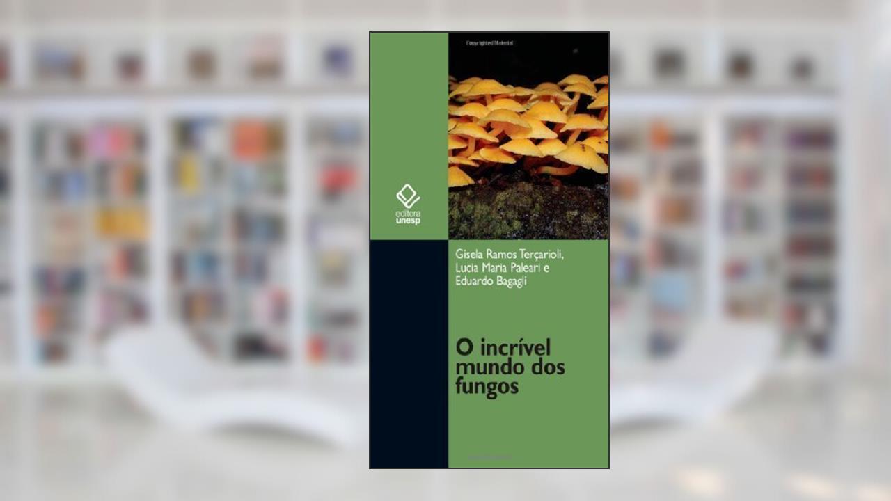 Capa de Alusão E Zombaria : Considerações Sobre Citações E Referências Na Ficção De Machado De Assis.-- ( Papéis Avulsos ; 44 ), do autor Marta De - Senna