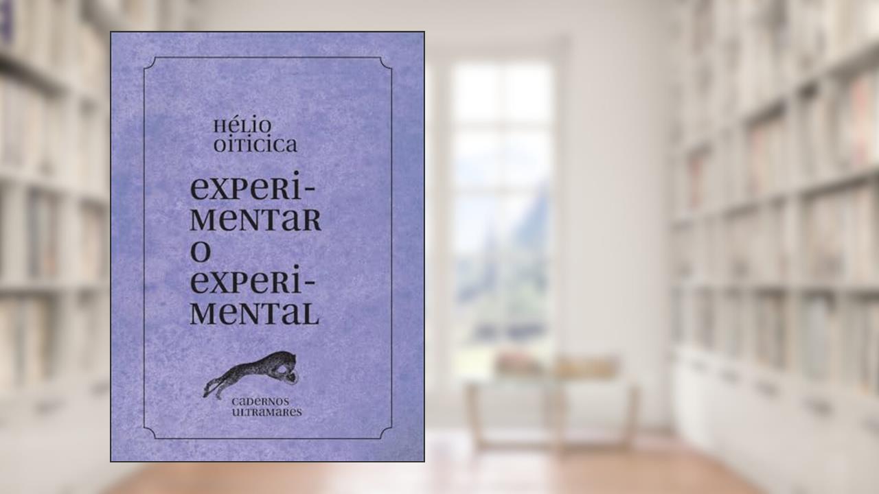 Capa de Experimentar o experimental: Cadernos Ultramares, do autor Hélio Oiticica