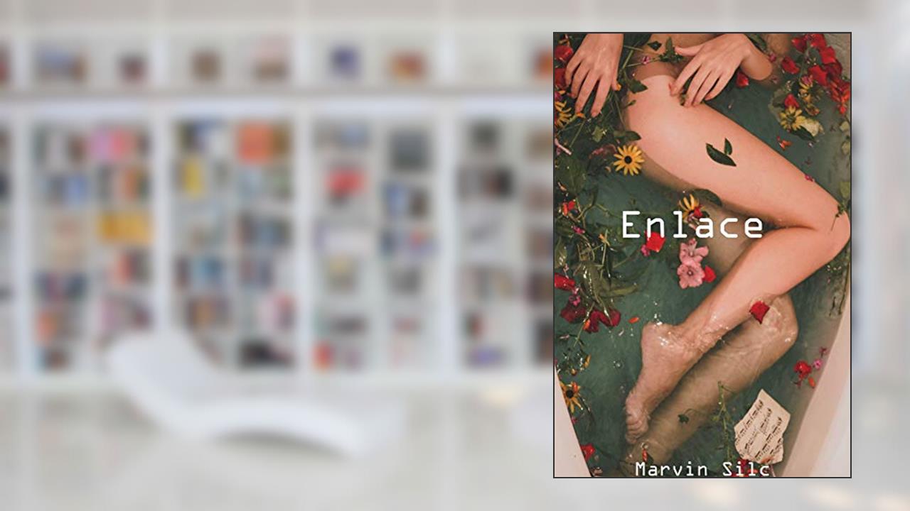 Capa de Enlace, do autor Marvin Silc