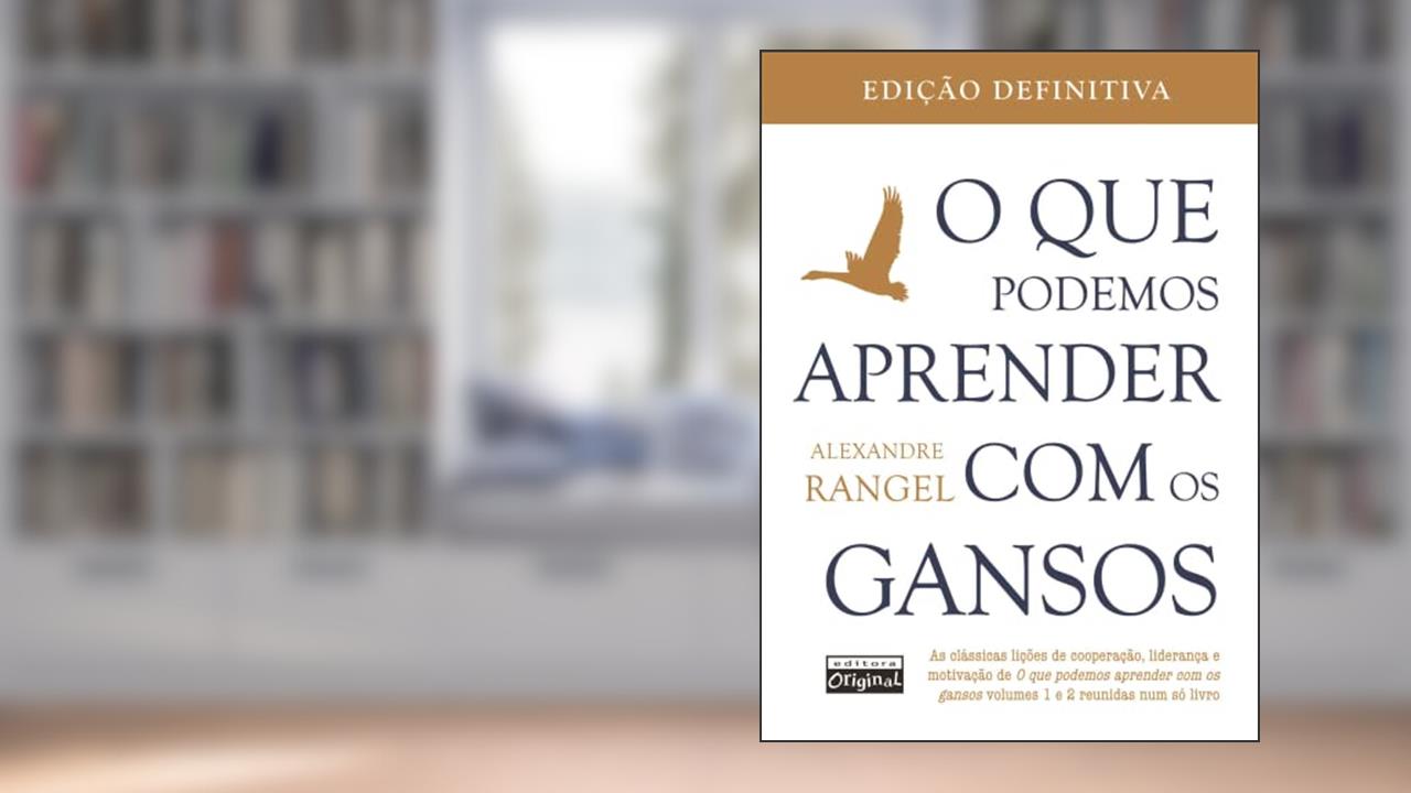 Capa de O que podemos aprender com os gansos, do autor Alexandre Rangel