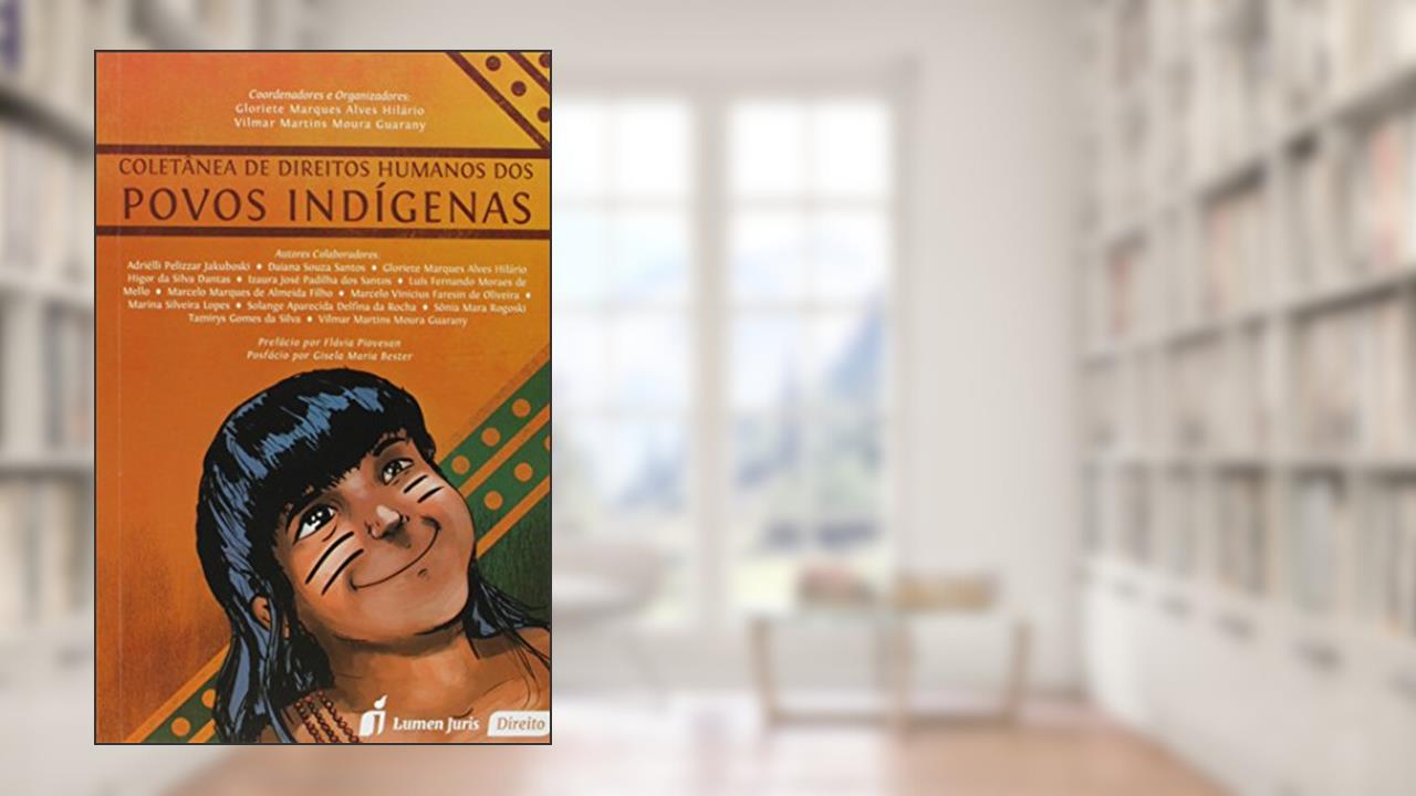 Capa de Coletânea de Direitos Humanos dos Povos Indígenas, do autor Gloriete Marques Alves Hilário; Vilmar Martins Moura Guarany