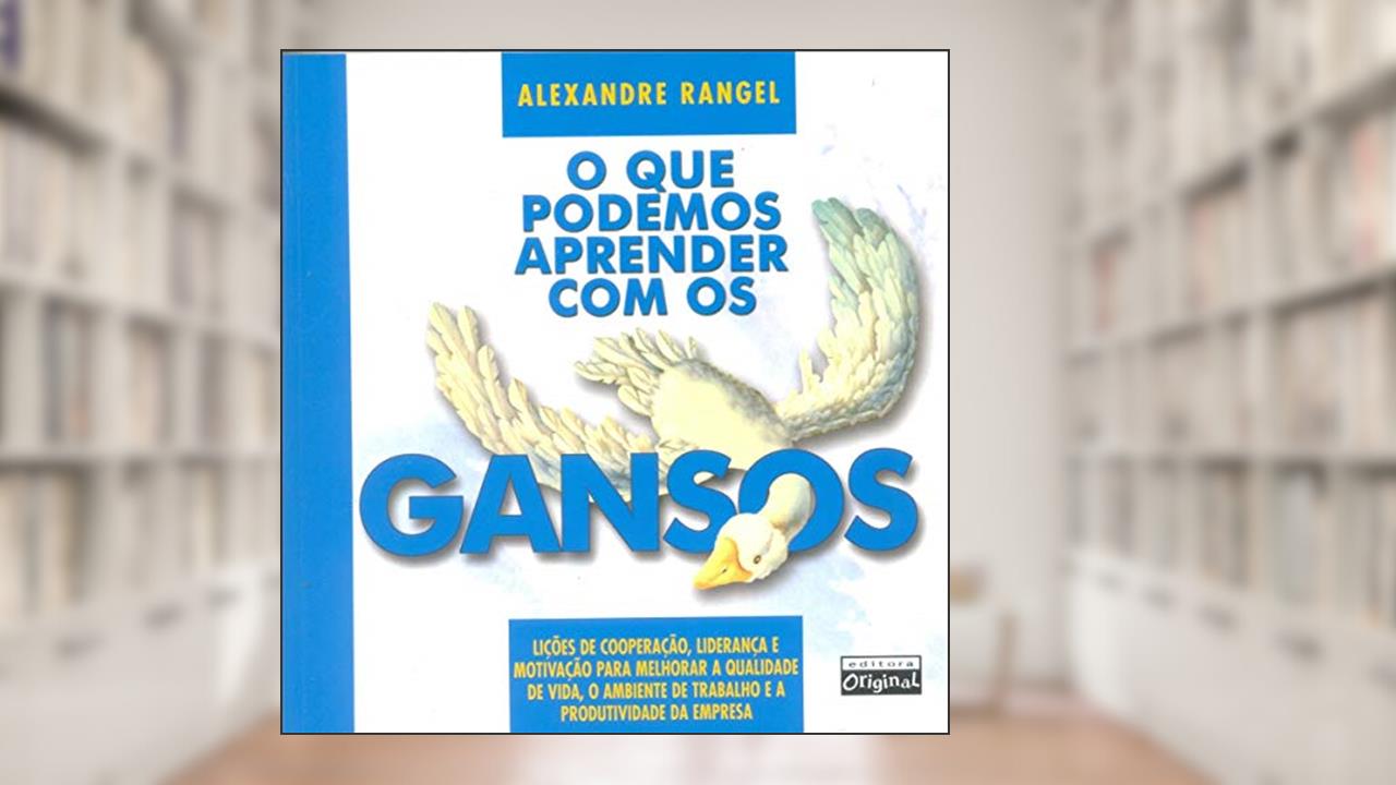 Capa de O que podemos aprender com os gansos, do autor Alexandre Rangel