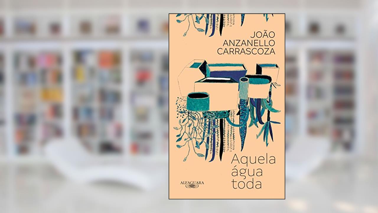 Capa de Aquela água toda, do autor João Anzanello Carrascoza