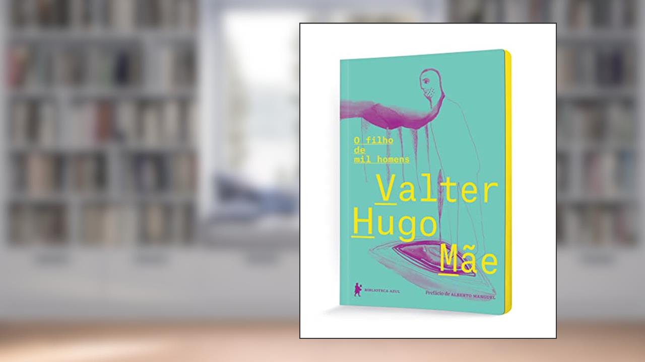 Capa de O filho de mil homens, do autor Valter Hugo Mãe