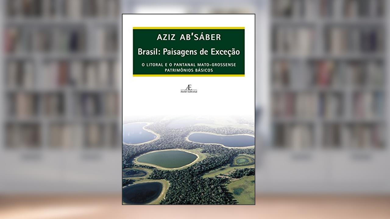 Capa de Brasil: Paisagens de Exceção: O Litoral e o Pantanal Mato-grossense: Patrimônios Básicos, do autor Aziz Ab'Sáber