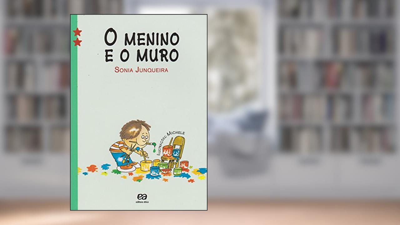 Capa de O menino e o muro, do autor Sônia Junqueira