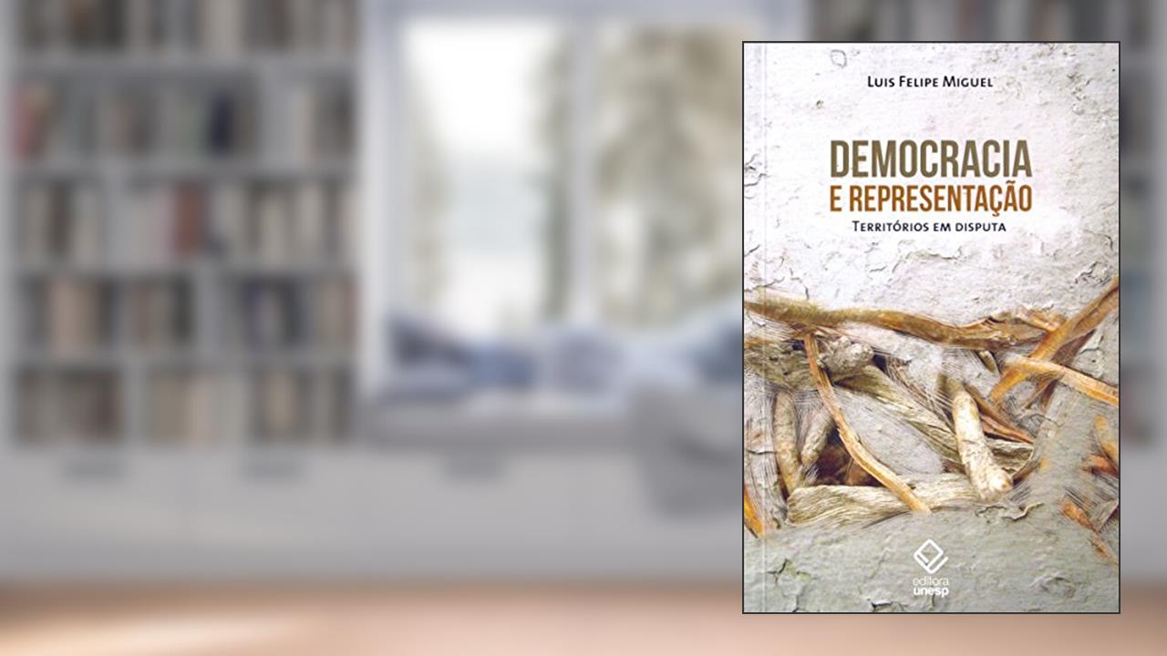 Capa de Democracia e representação: Territórios em disputa, do autor Luís Felipe Miguel