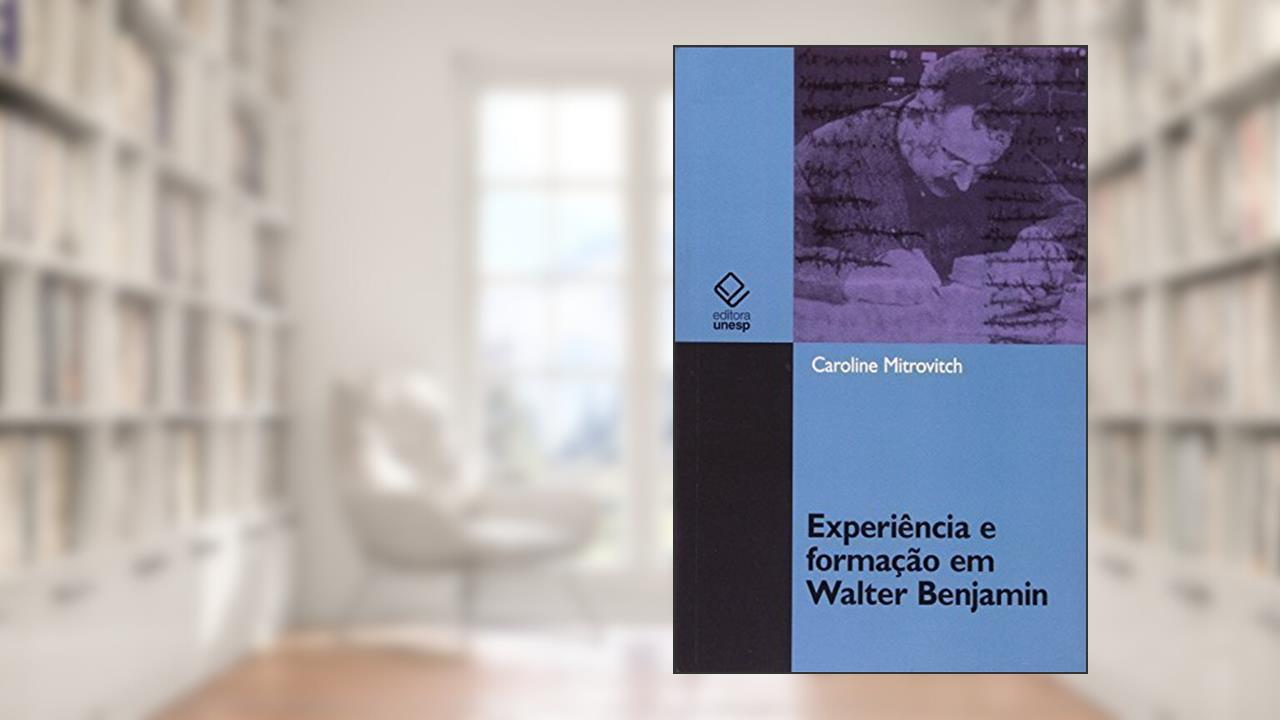 Capa de A Ideologia Do Seculo Xx: Ensaios Sobre O Nacional-Socialismo, O Marxismo, O Terceiro-Mundismo E A Ideologia Brasileira (Portuguese Edition), do autor Jose Osvaldo De Meira Penna