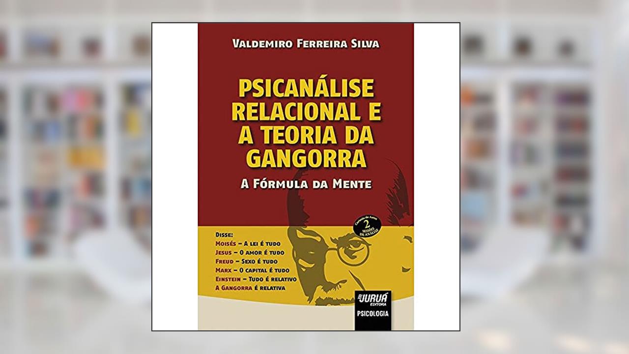 Psicanálise Relacional e a Teoria da Gangorra - A Fórmula da Mente, do autor Valdemiro Ferreira Silva