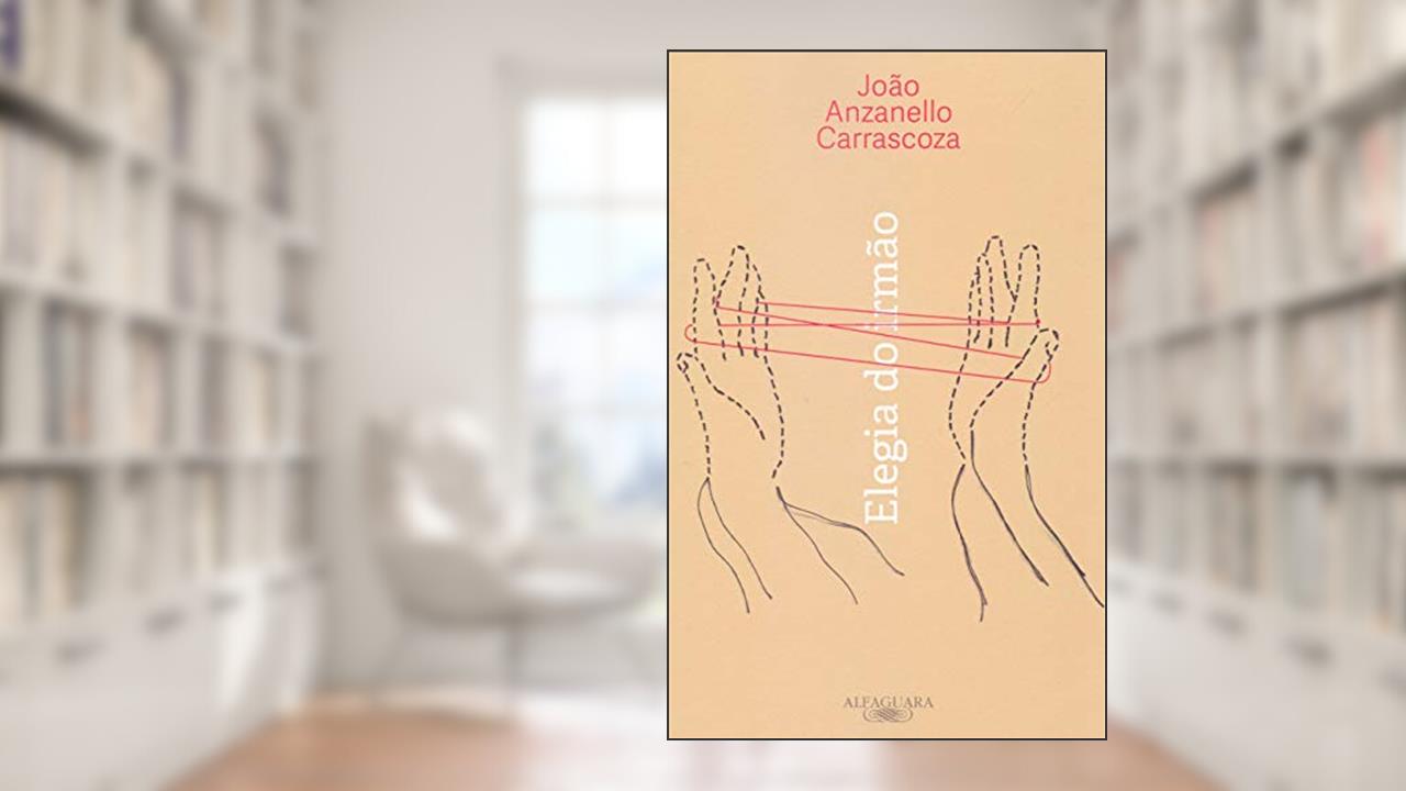 Capa de Elegia do irmão, do autor João Anzanello Carrascoza