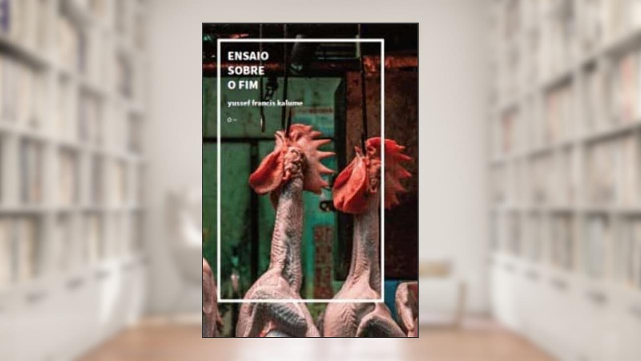 Ensaio Sobre O Fim, do autor Yussef Francis Kalume