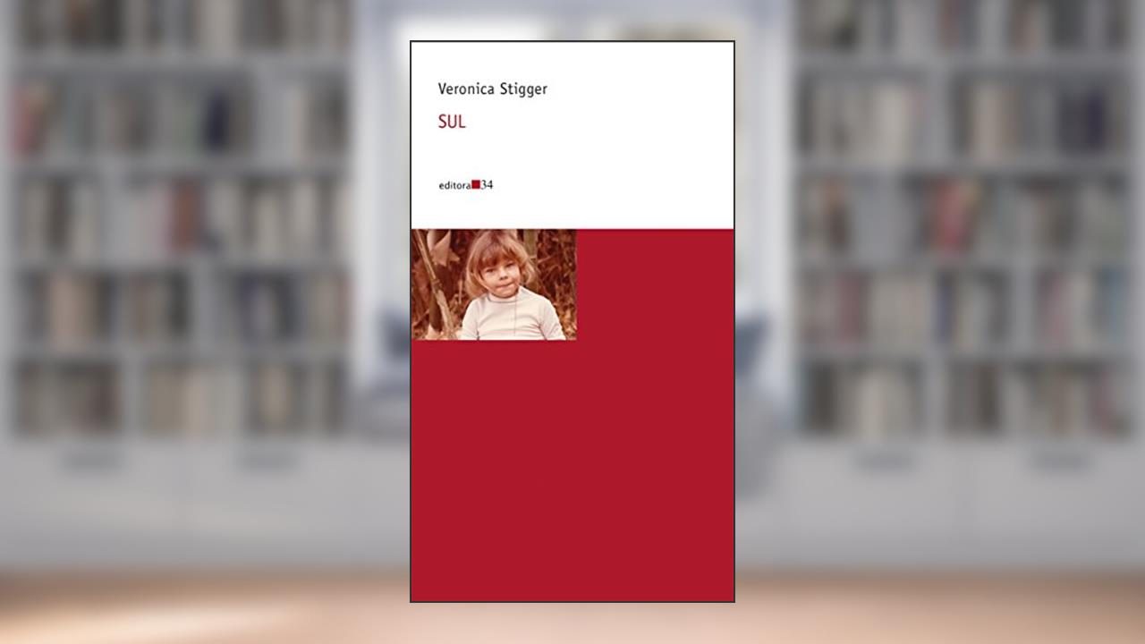 Capa de Sul, de Veronica Stigger