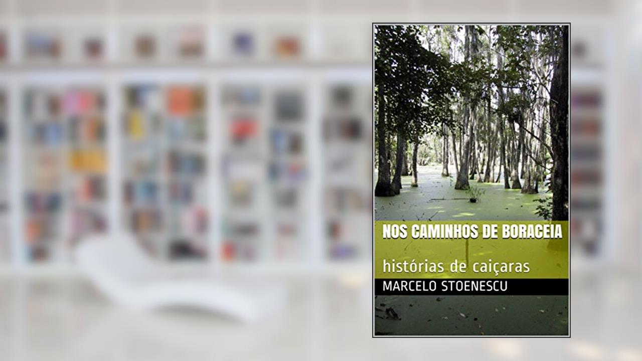 Capa de Nos caminhos de Boraceia: histórias de caiçaras, do autor Marcelo Stoenescu
