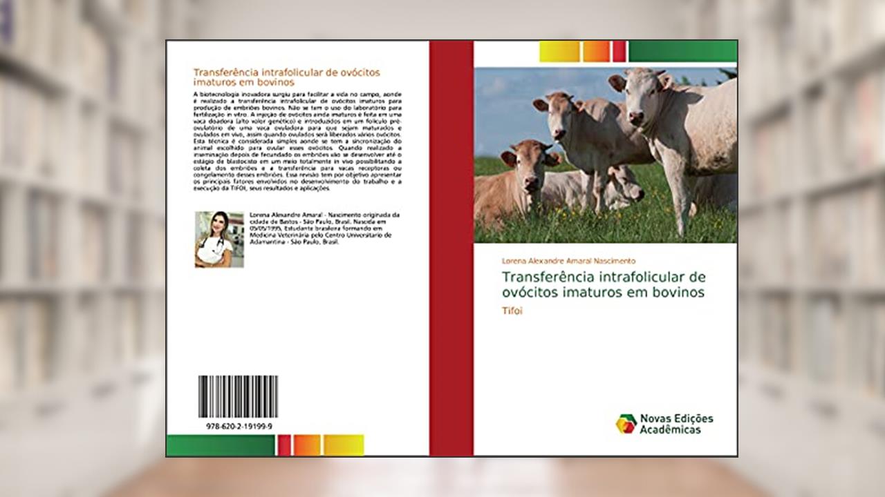 Capa de Transferência intrafolicular de ovócitos imaturos em bovinos: Tifoi, do autor Lorena Alexandre Amaral Nascimento