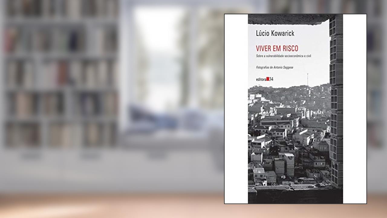 Capa de Viver em risco: Sobre a Vulnerabilidade Socioeconômica e Civil, de Lúcio Kowarick