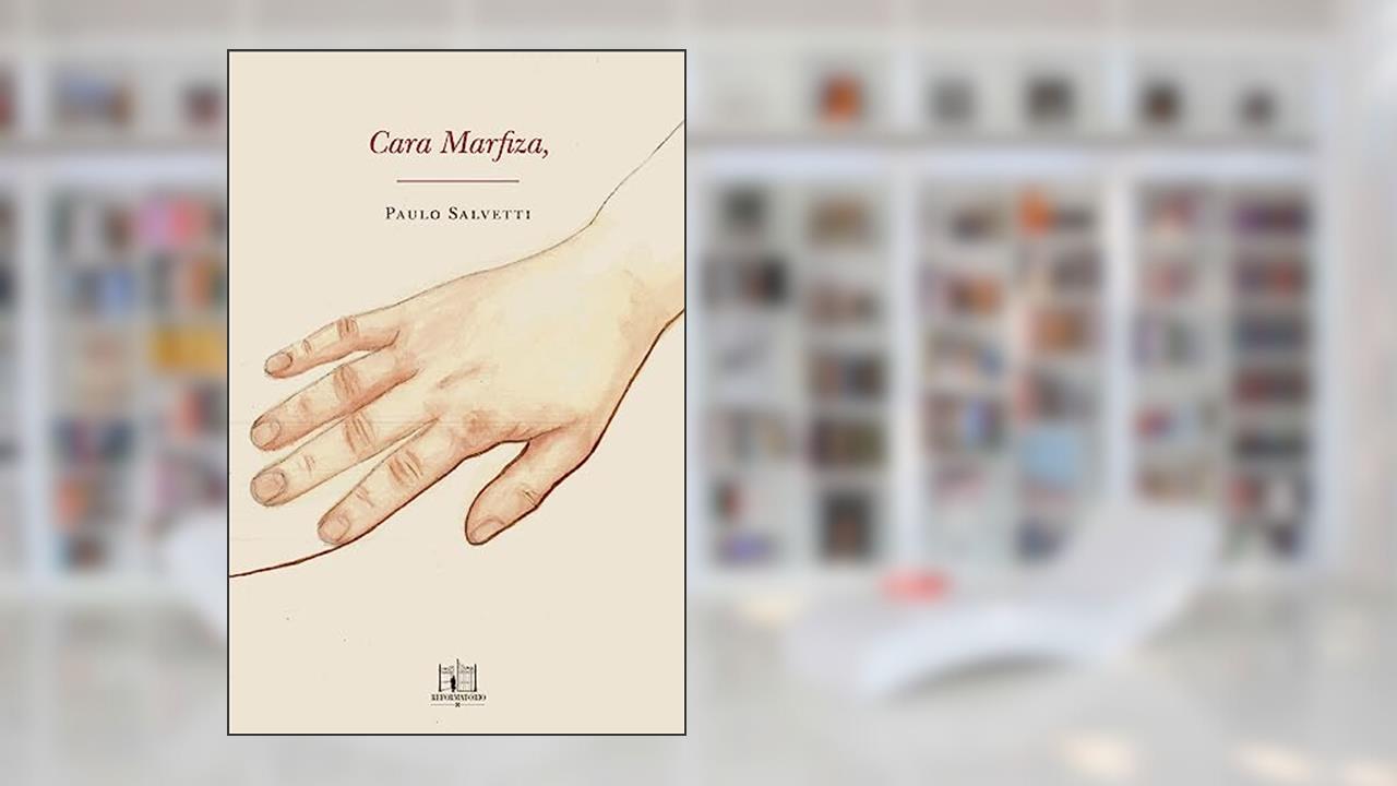 Capa de Cara Marfiza, do autor Paulo Salvetti
