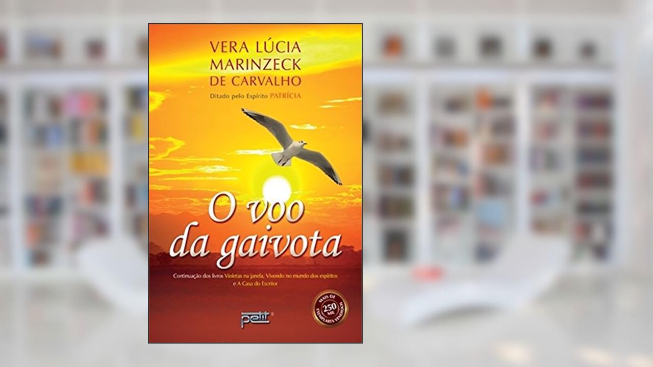 Capa de O voo da gaivota, do autor Vera Lúcia Marinzeck de Carvalho