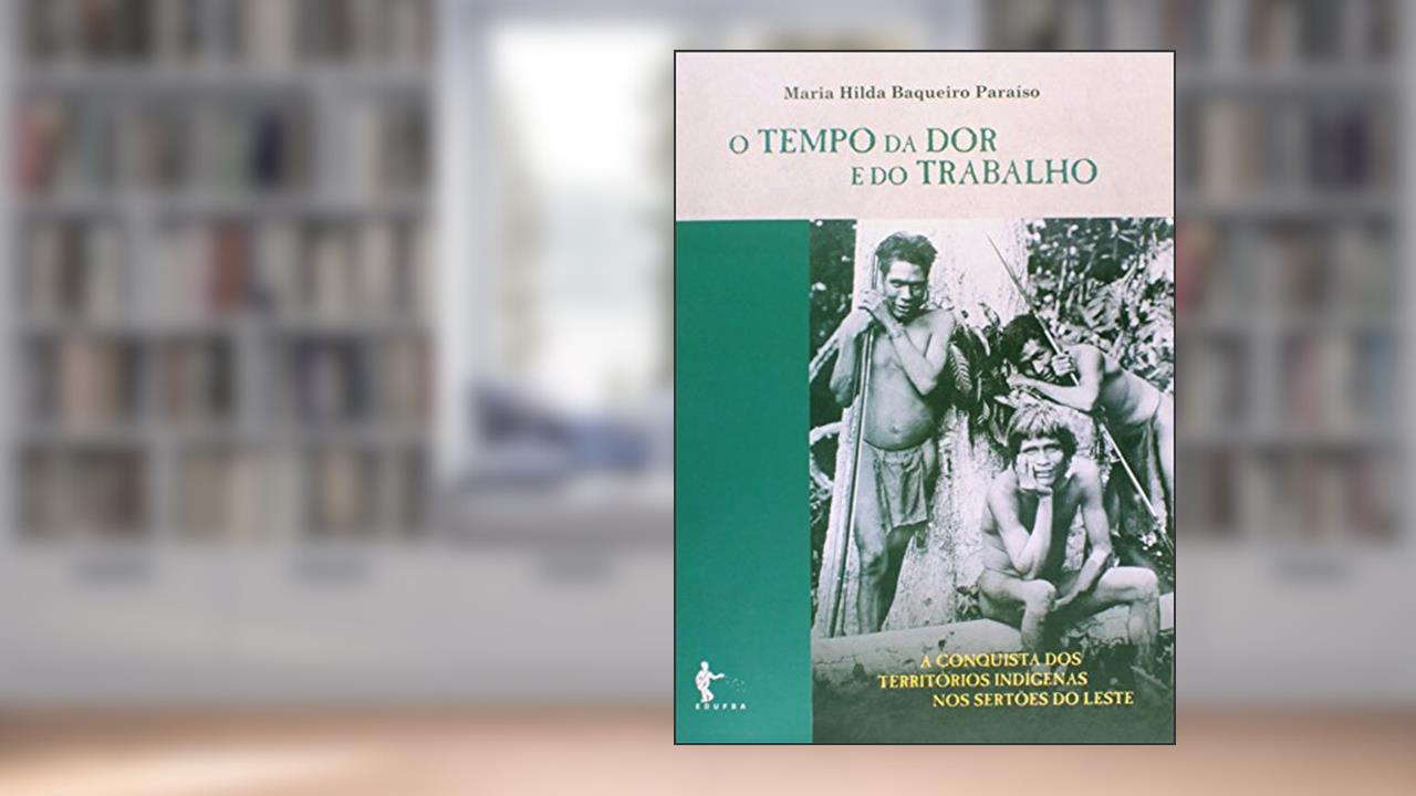 Capa de O Tempo da Dor e do Trabalho. A Conquista dos Territórios Indígenas nos Sertões do Leste, do autor Maria Hilda Baqueiro Paraíso