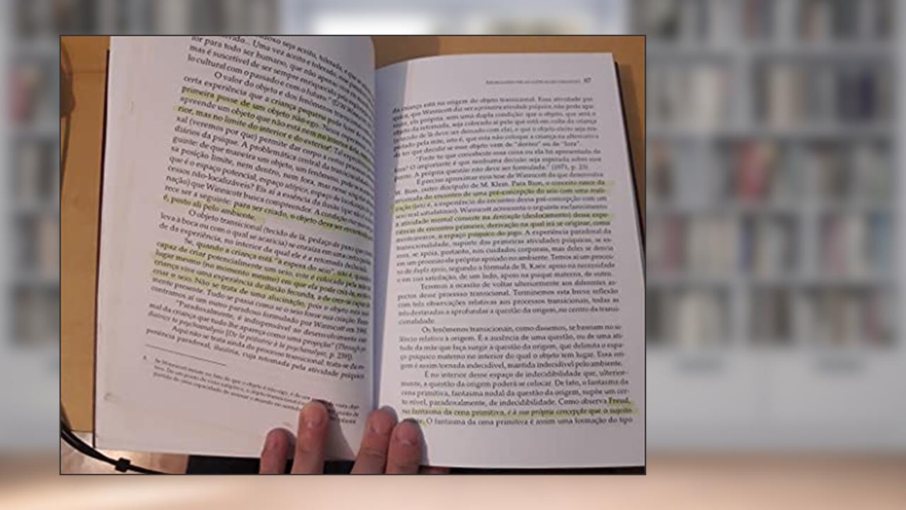 Capa de Paradoxos E Situacoes Limites Da Psicanalise, do autor Rene Roussillon