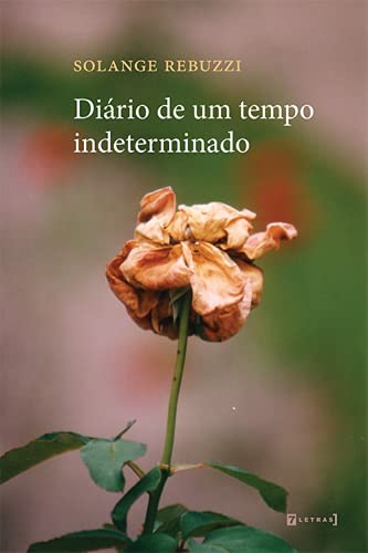 Ler Diário de um Tempo Indeterminado, do autor Solange Rebuzzi Ler Diário de um Tempo Indeterminado, do autor Solange Rebuzzi